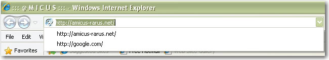 IE address bar